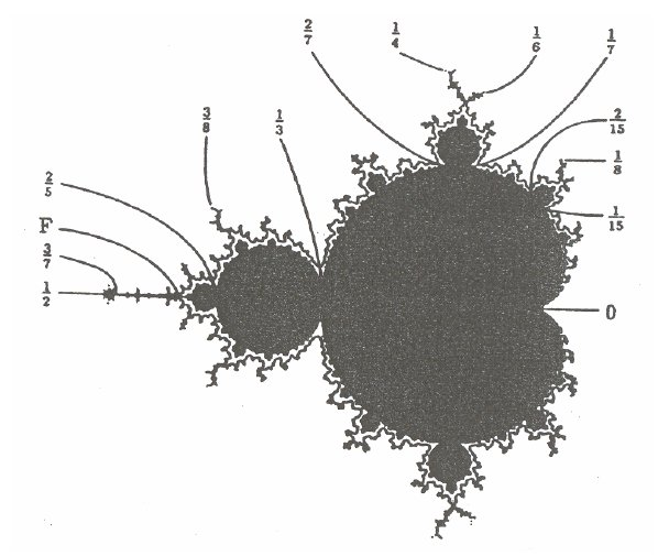 The Mandelbrot Set and points that relate to the Farey Sequence